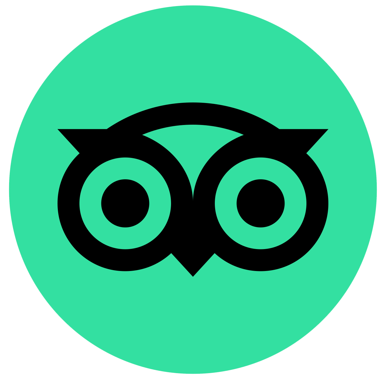 tripadvisor